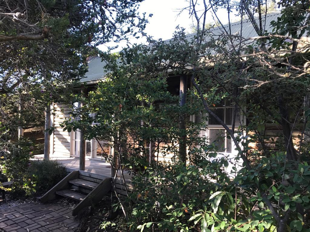 Ti-Tree Village Ocean Grove Bagian luar foto