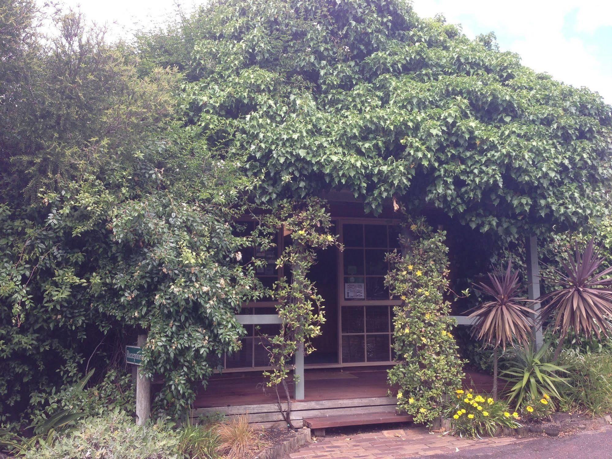 Ti-Tree Village Ocean Grove Bagian luar foto